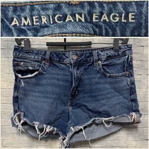 American Eagle Outfitters Blue Jean Shorts
